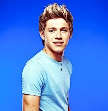 95 Fun Facts About Niall Horan You Will Definitely Want To Know Tmi